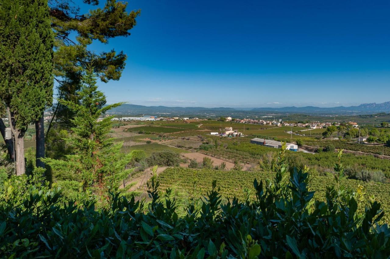 Cal Mestre Casa Rural Avinyonet del Penedes Exterior foto